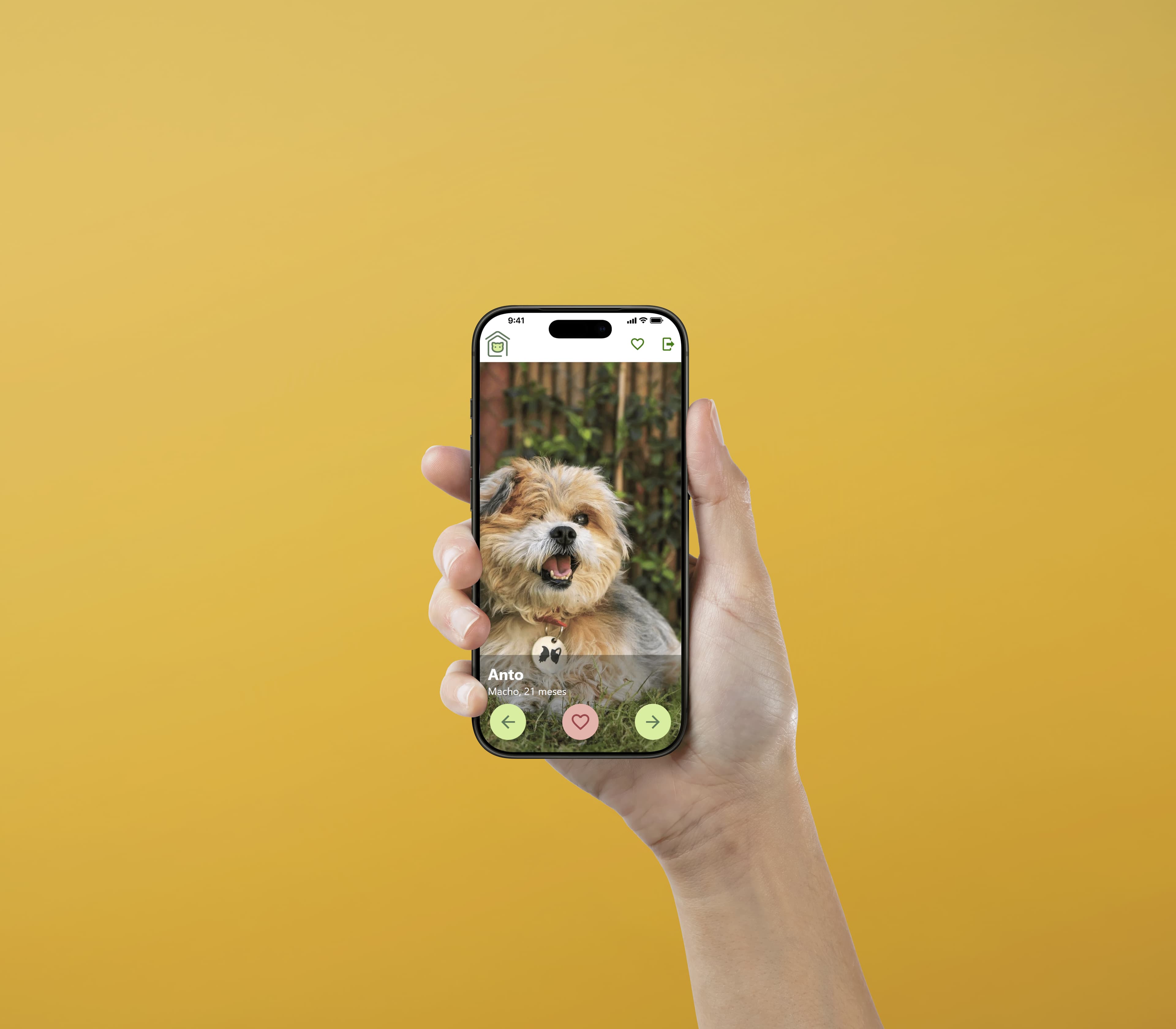 Petinder